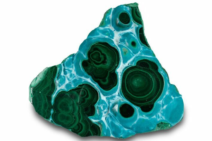 Vibrant Polished Malachite with Chrysocolla - DR Congo #319824